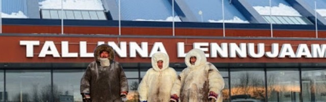 FOTO! Eestisse saabus grupp eskimoid, kes tulid meid õpetama, kuidas 20 kraadises jaheduses hakkama saada