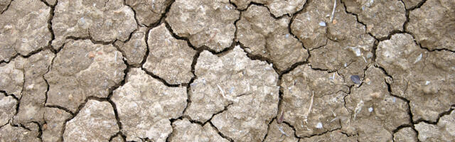 Jüri Kotšinev: tuhk ja põrm