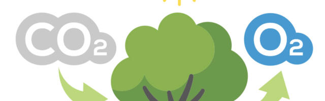 CO2 – vajalik inimese ja kõigi teiste organismiliikide, taimestiku ellujäämiseks