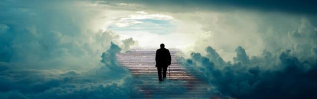 Järvalase elu on tänavu päästetud juba kolm korda