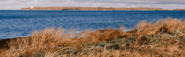 Mereäärsete kinnistute omanikel on üha keerulisem piirangute tõttu oma maal ehitada