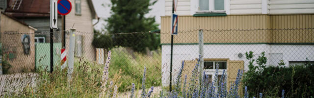 Kolmapäeval avaneb elurikkuse toetusvoor kortermaja hoovidele