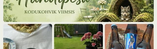 KODUKOHVIKU TUTVUSTUS: Hundipesa