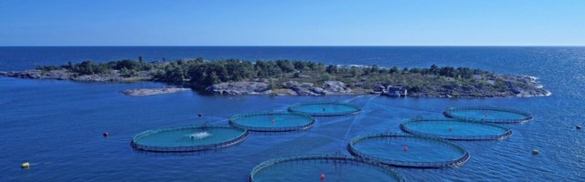 Soomlased ja PRFoods vaidlevad Hiiumaa vetes miljoniinvesteeringu pärast