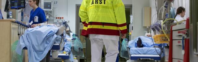 Визит в EMO подорожал в четыре раза. Что изменилось за эти три месяца на самом деле?