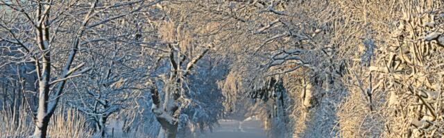 Päevahoroskoop : reede, 6.  veebruar
