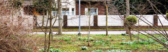 GALERII: varakevadine Haabneeme