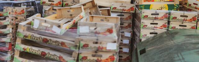 Tähelepanu kaupade eksportijad: puidust pakkematerjal peab vastama rahvusvahelistele taimetervise nõuetele