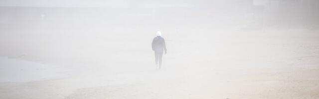 ILMATEADE | Eesti on kimpus tiheda uduga, nähtavus on alla 200 m