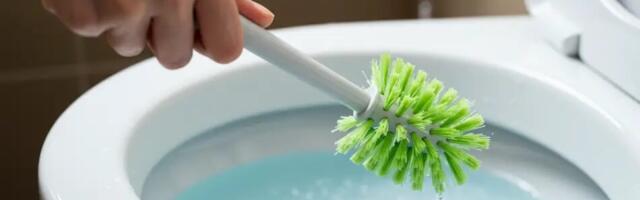 WC-hari – kodu kõige mustem ese ja kuidas seda õigesti puhastada ja desinfitseerida