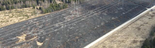 Ida-Virumaal põles kõrgepingeliinialune maa