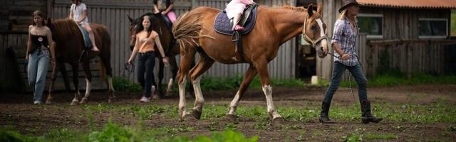 Üle 300 talu ootavad sel nädalavahetusel külla