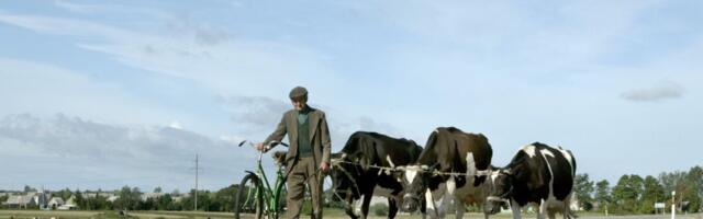 Leedu piimandussektoril on ees kasvuperiood