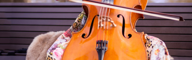 Miks osalen meeleavaldustel, mida taotlen ja milliseid muutusi ootan?