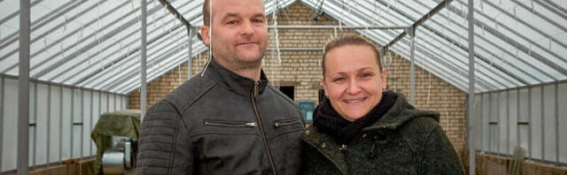 Anni ja Mait Paulus tõid unustatud kasvuhoonesse värsked kurgid