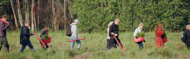 Kaks uut metsaistutamise programmi pakuvad ettevõtetele võimalust olla kliimasõbralikum