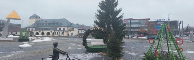 Rakvere linna jõulukuusk läheb tervenisti taaskasutusse