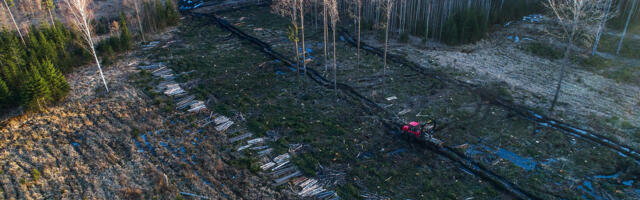 Eesti looduse lootus – kas päriselt kadunud?