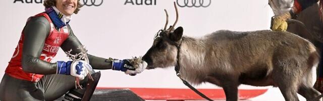 Brasiilia sai mäesuusatamises esimese MK-etapivõidu