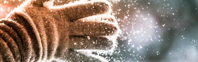 Päevahoroskoop : neljapäev, 20. november