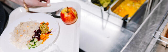 Ranged piirangud sätestavad palju soola ja suhkrut võib koolitoit sisaldada