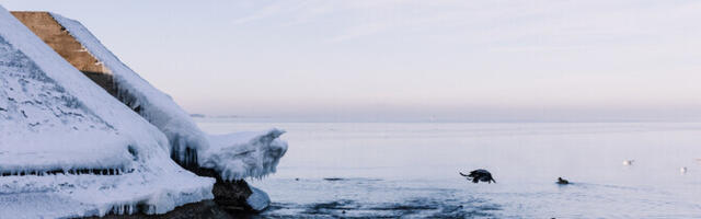 Reedel on oodata vahelduvat pilvisust ja sajuta ilma