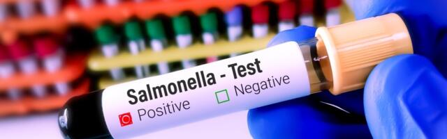 Kahes Riia lasteaias on salmonelloosipuhang