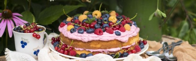 RETSEPTID | Taimsed hõrgutised taasiseseisvumispäevaks: marjakook, kukeseenepirukas ja paneeritud baklažaan