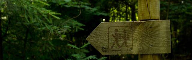 Riik sõnastas ootused RMK-le: raietegevus ja puiduressursi juurdekasv vajavad rohkem läbipaistvust