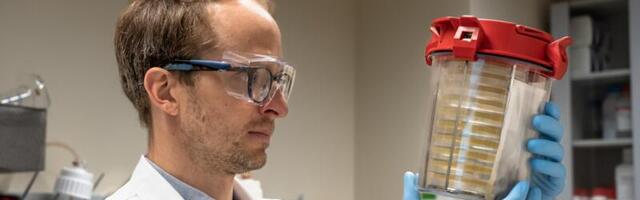 Euroopa teadusgrant hõlbustab mikroobsete rakuvabrikute abil kasulike kütuste ja kemikaalide tootmist