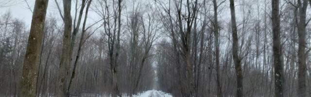 Maapiirkondade pered saavad toetust olmetingimuste parendamiseks