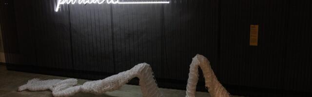 Külaskäik sahvrisse, kus ei hoita kurke, seeni ega marju