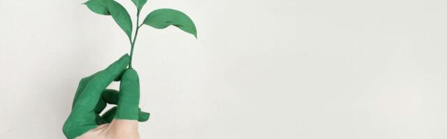 Ettevõtetele loodi tasuta ESG tööriist kestlikkuse hindamiseks