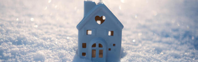 Libedusetõrje ABC: kuidas hoida talvel majaesine ohutuna