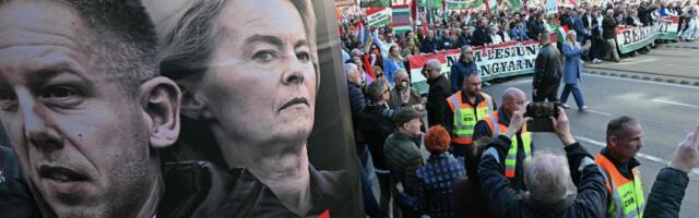 Jerzy Kwaśniewski: Ungari valimised olid puhtad. Kampaania ei olnud puhas