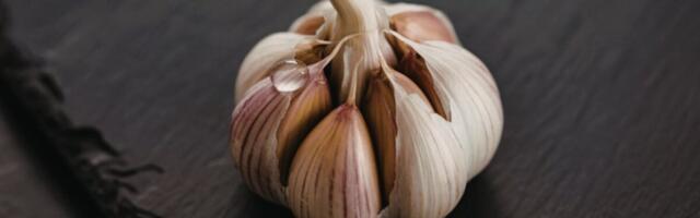 Garlic Is a Secret Weapon Against Mosquitoes, Study Finds