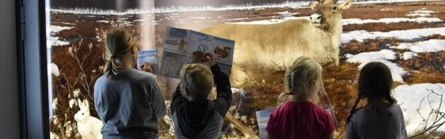 Построенные в хорошие времена центры впечатлений оказались в сложном финансовом положении