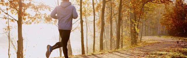 Millised verenäidud on tervisesportlastele olulised?