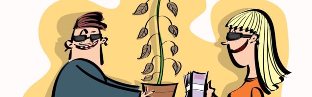 Päikeseprillid ette – iduedu pimestab