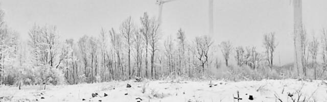 Maarja Maranik: “Raha ei asenda kodurahu, terasest mastid ei asenda naabreid”