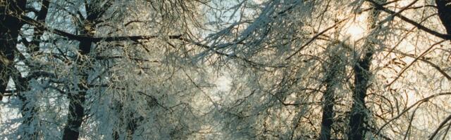 ILMATEADE | Oodata on nõrka lumesadu ja krõbedaid külmakraade