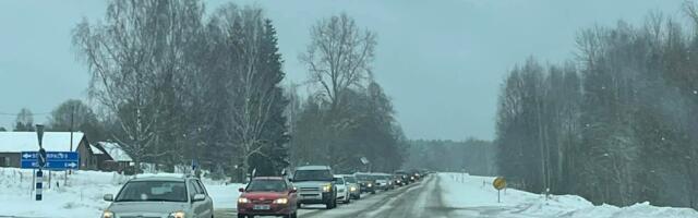 PILDID: Nursipalu kett 2026