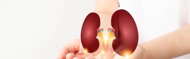 Fond Suurbritannias kutsub elusdoonoreid neeru annetama