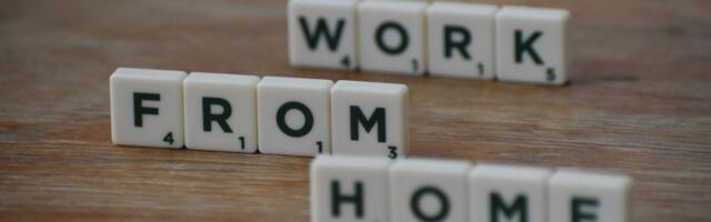 Paindlik töö on uus valuuta, mida Eesti tööturul siiski jätkuvalt napib