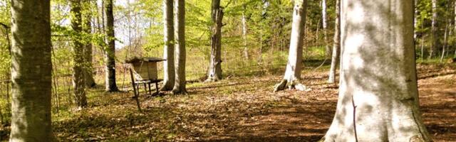 Eesti ei ole veel pöögimaa, aga see võib muutuda