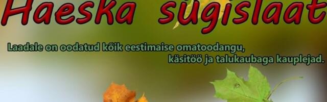 Haeska külas läänemaal toimub sügislaat 14. september 2024
