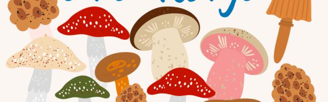 SEENEHOOAJA OHUTUS | Kui kahtled, ära korja!