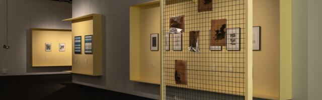 Hargnev silmus ehk Tähendustele avatud graafilised kujundid