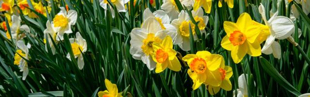 14. märts: Jäär vajutagu pidurit, Kaljukitse isiklik elu muutub põnevaks