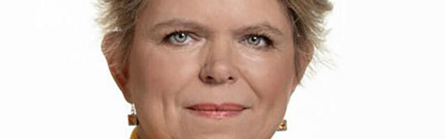 Arengumootoriks on väikeettevõtjad